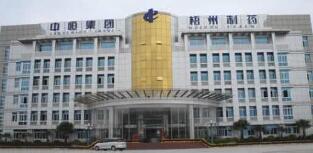 中恒集團(tuán)董事長焦明簡歷，歐陽靜波簡歷，中恒集團(tuán)是國企嗎