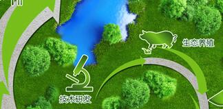雛鷹集團侯建芳簡歷，侯閣亭、李花、侯五群、吳易得、丁美蘭等領導班子